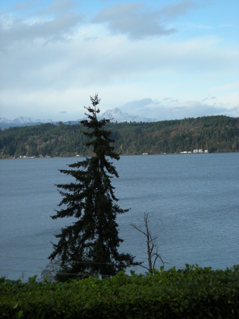 DSCN4587